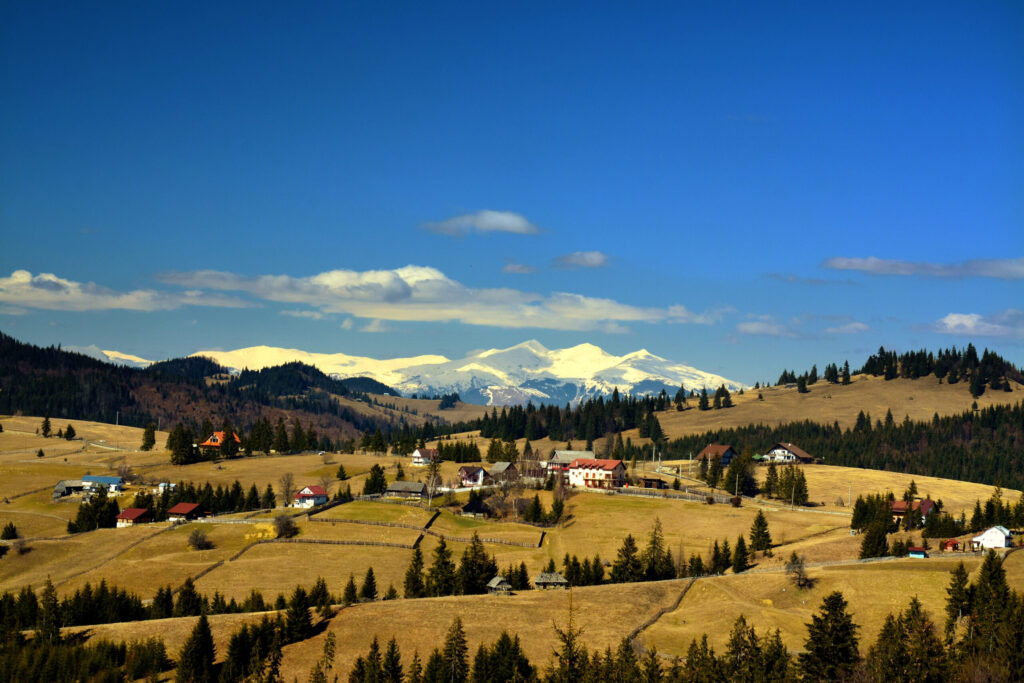 A beautiful shot of houses in a mountain landscape covered with trees in Tihuta pass, Romania