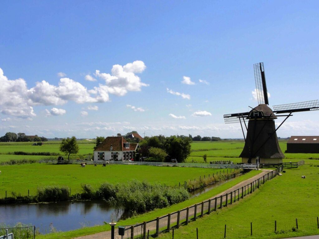 A traditional Dutch windmill beside a calm polder canal, surrounded by green pastures and grazing sheep under a bright blue sky