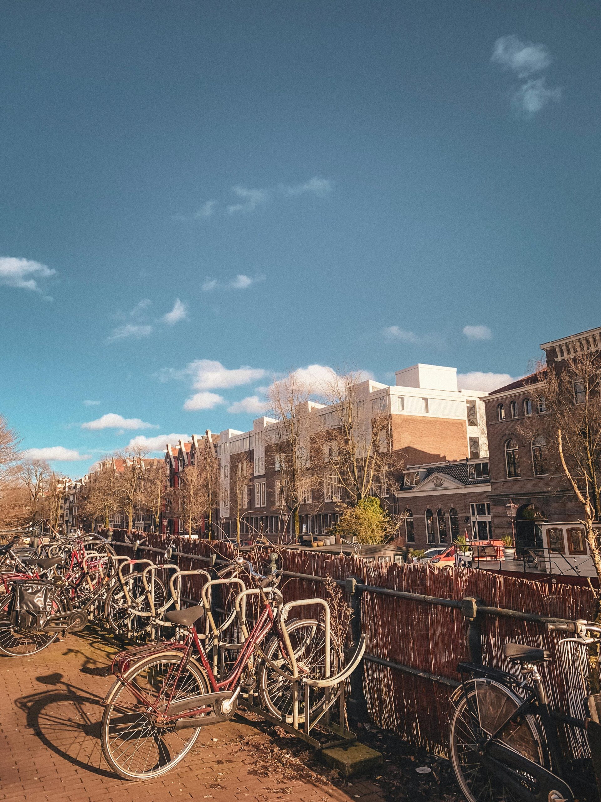 Numerous bicycles locked to a railing along a tree-lined canal, with historic brick townhouses and a clear sky in the background