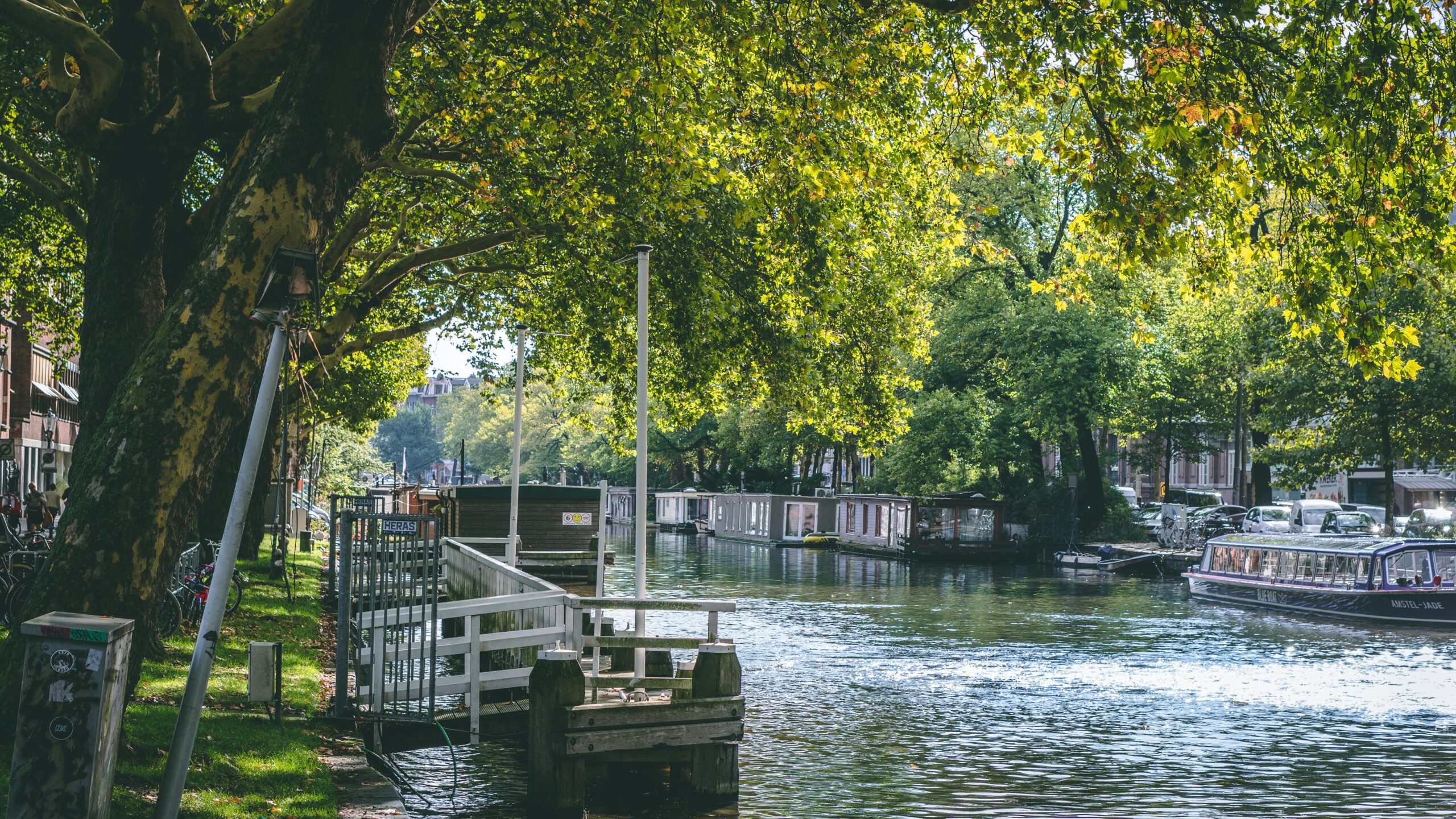Peaceful canal scene in the Netherlands with trees and houseboats – visualizing the lifestyle contrast in living in France vs Netherlands