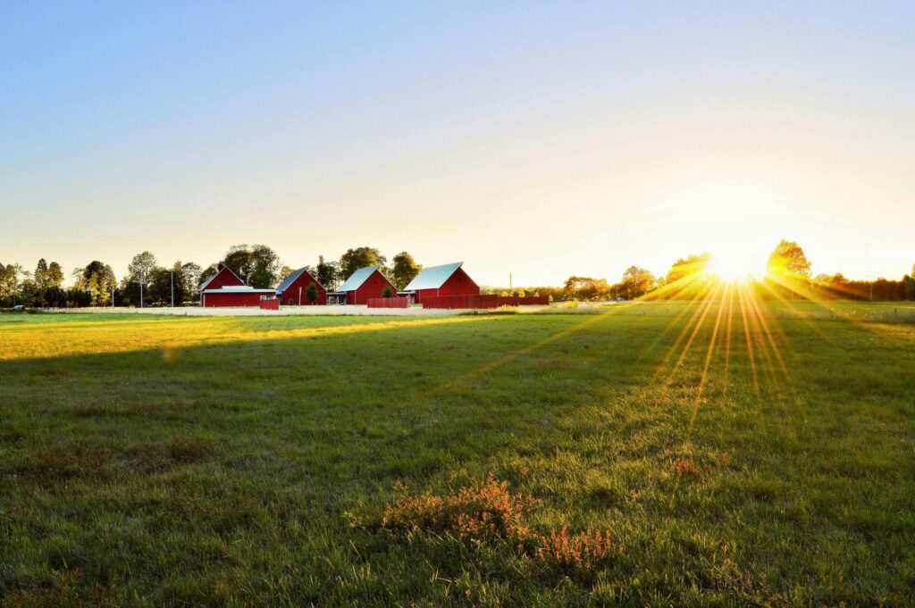 Sunset over a green European countryside field with red barns, illustrating peaceful rural destinations for European relocations and international removals with VANonsite.