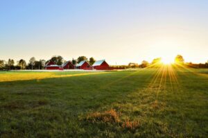 Sunset over a green European countryside field with red barns, illustrating peaceful rural destinations for European relocations and international removals with VANonsite.