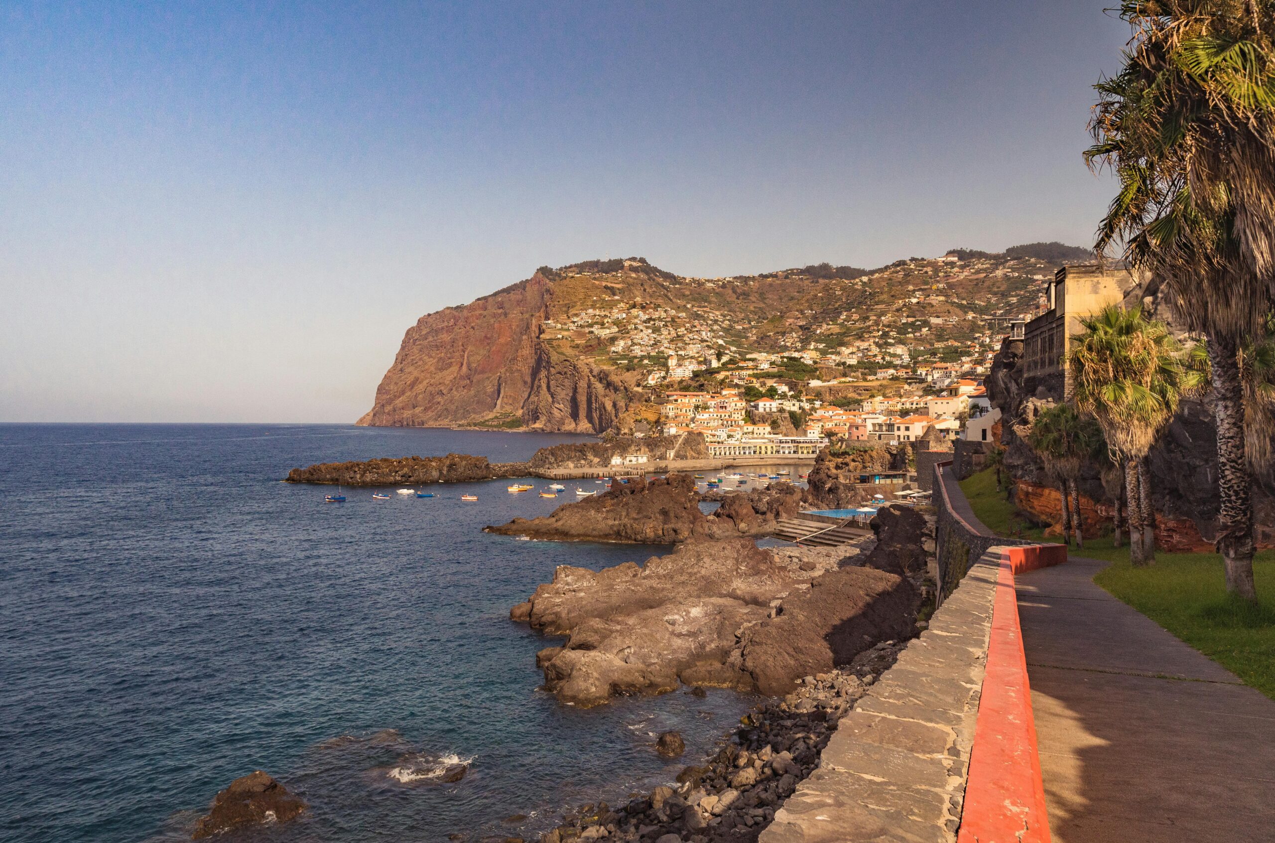 Coastal walkway with palm trees overlooking a rocky shoreline and hillside town by the sea